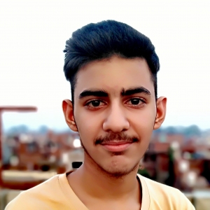 Tushar Kapoor-Freelancer in ludhiana,India