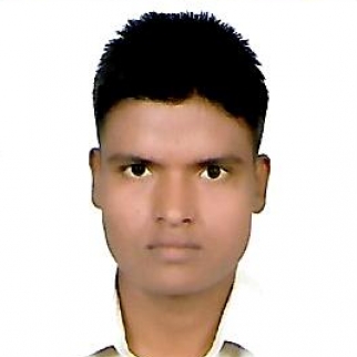 Man Singh-Freelancer in New Delhi,India