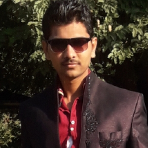 Punyashil Gatkul-Freelancer in ,India