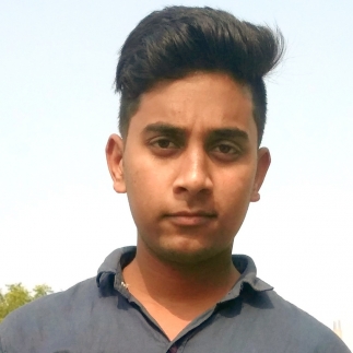 Saleem Choudhary-Freelancer in Hapur,India