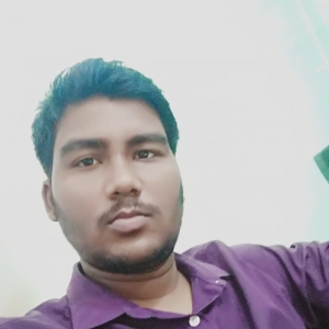 Rohit Bharti-Freelancer in Indore,India