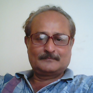 Parimal Desai-Freelancer in Valsad,India