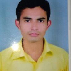 Sumit-Freelancer in Kandri (kanhan),India