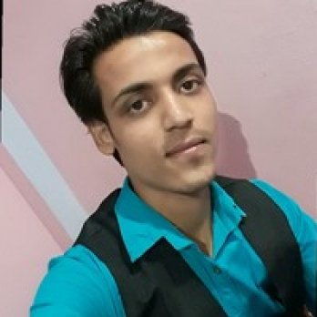 Mohd Shahid Ansari-Freelancer in Chandauli,India