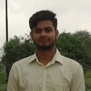Harshvardhan Singh Jadon-Freelancer in ,India
