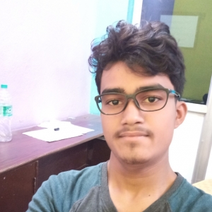 Tarkeshwar Mandal-Freelancer in ,India