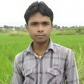 Raviranjan Kumar-Freelancer in ,India