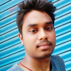 Avinash Kumar-Freelancer in Muzaffarpur,India