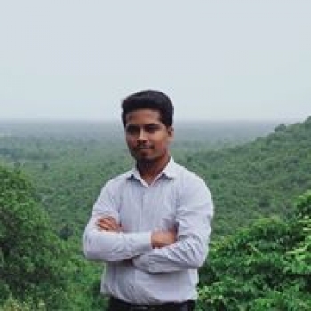 Er Hitesh Patle-Freelancer in Vadodara,India