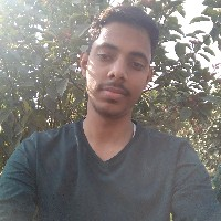 Shiraz Ahmad-Freelancer in Bangalore,India