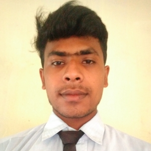 Toushif Ahmed-Freelancer in ,India