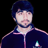 Ansar Hussain-Freelancer in Timergara,Pakistan
