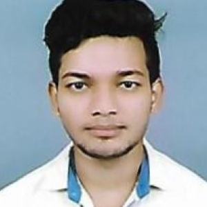 Pradeep Kumar-Freelancer in Lucknow,India
