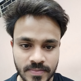 Satish Patel-Freelancer in Ghaziabad,India
