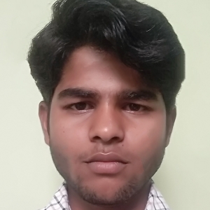 Ramesh Kumar-Freelancer in Muzaffarpur,India