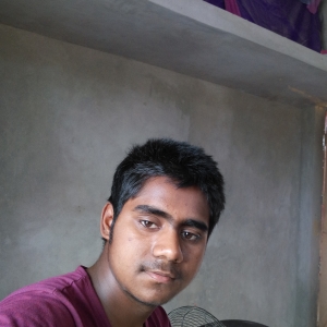 Samiullah Ansari-Freelancer in Gorakhpur,India