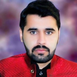 Laraib Ali-Freelancer in Multan,Pakistan