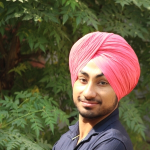 Daman Singh-Freelancer in Chandigarh,India
