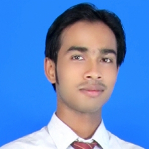 Sumit Bhadra-Freelancer in ,India