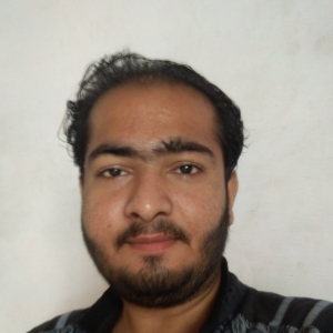 Parth Budhbhatti-Freelancer in bhuj,India