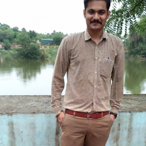 Praveen Kumar Fatnani-Freelancer in Bhilwara,India