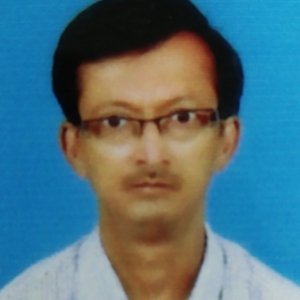 Ashish Shrivastava-Freelancer in ,India