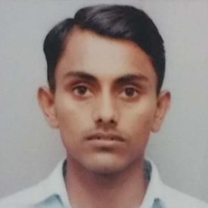 Dinesh Patel-Freelancer in Udaipur,India