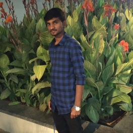 Malli Suresh-Freelancer in Nellore,India