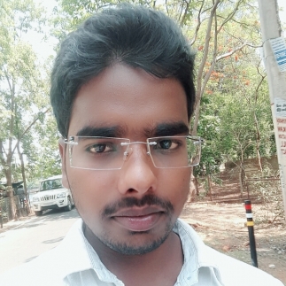 Vivek Pratap-Freelancer in ,India