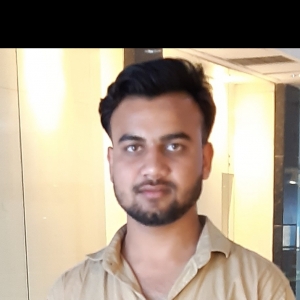 Robin Singh-Freelancer in Karnal,India