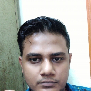 Adil Ansari-Freelancer in Dehradun,India