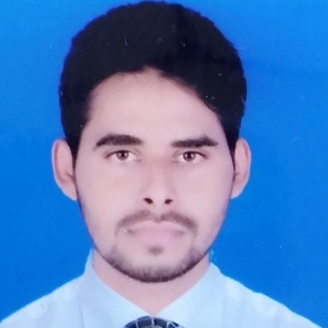 Arif Hussain-Freelancer in Muzaffarpur,India