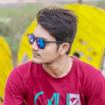 Vinod Choudhary-Freelancer in Raipur,India