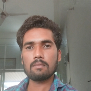 Sunil Pratihar-Freelancer in Ajmer,India