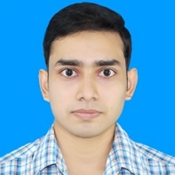 Niranjan Kumar-Freelancer in Patna,India