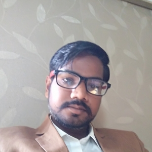 Mahendra Kumar Salvi-Freelancer in Jaipur,India