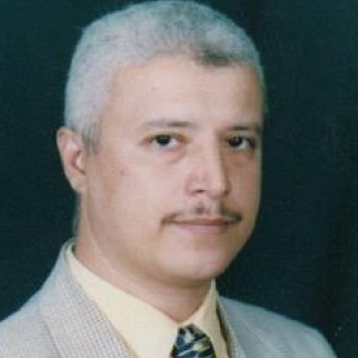 Mohamed Soliman-Freelancer in Giza,Egypt