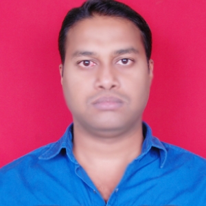 Rakesh Ranjan-Freelancer in ,India