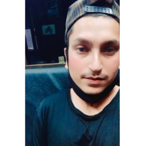 Satyam Shady-Freelancer in Noida,India