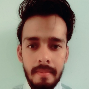 Shadab Ahmad-Freelancer in Chittaurgarh,India