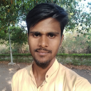 Wasim Shaikh-Freelancer in amravati,India