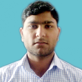 Neeraj Thakur-Freelancer in Muzaffarnagar,India