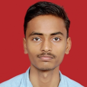 Anshul Verma-Freelancer in Lucknow,India