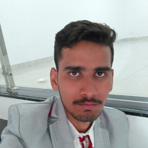 Ajaruddin Khan-Freelancer in Medikurthy, 517237,India