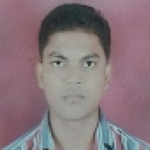 Ashish Ghasle-Freelancer in Amravati,India