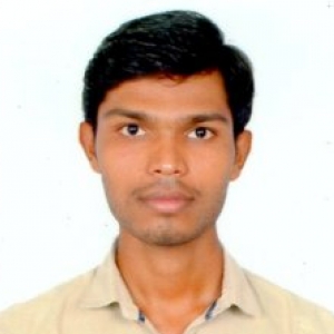 Syed Basha Dudekula-Freelancer in Chicalim,India
