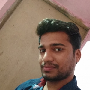 Bhavik Lende-Freelancer in Umred,India