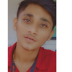 Salahuddin Shaikh-Freelancer in Mumbai,India