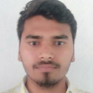 Dilshad Alam-Freelancer in DARBHANGA,India