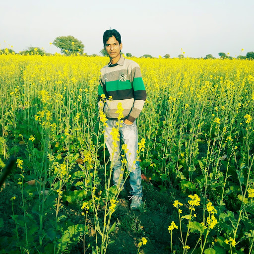 Shabbir Khan-Freelancer in New Delhi,India